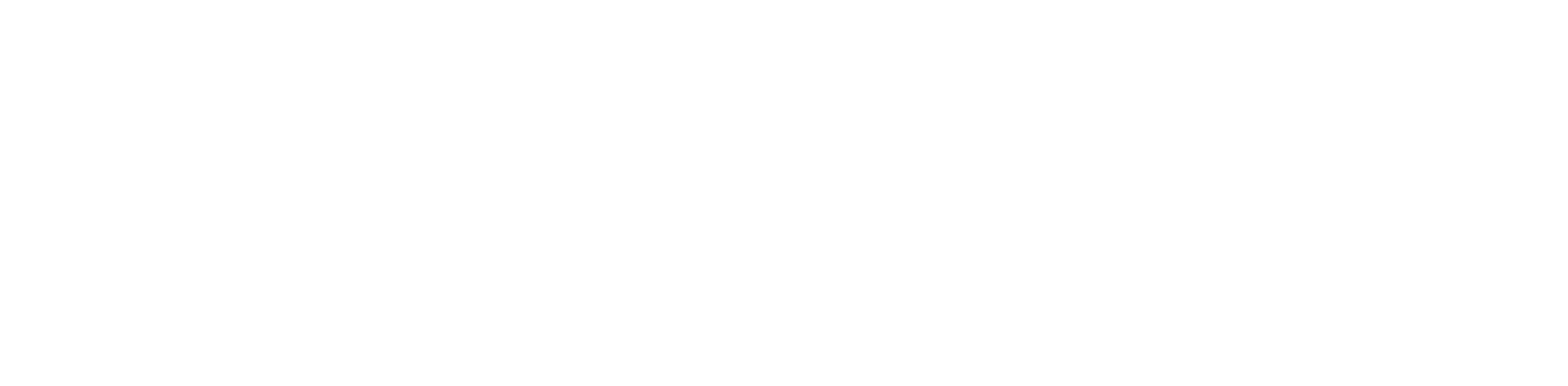 Birishiri Logo